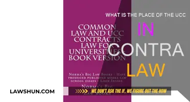 UCC: The Contract Law's Backbone