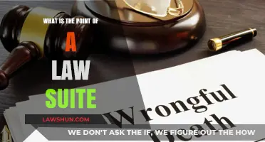 Understanding the Purpose and Impact of a Legal Lawsuit