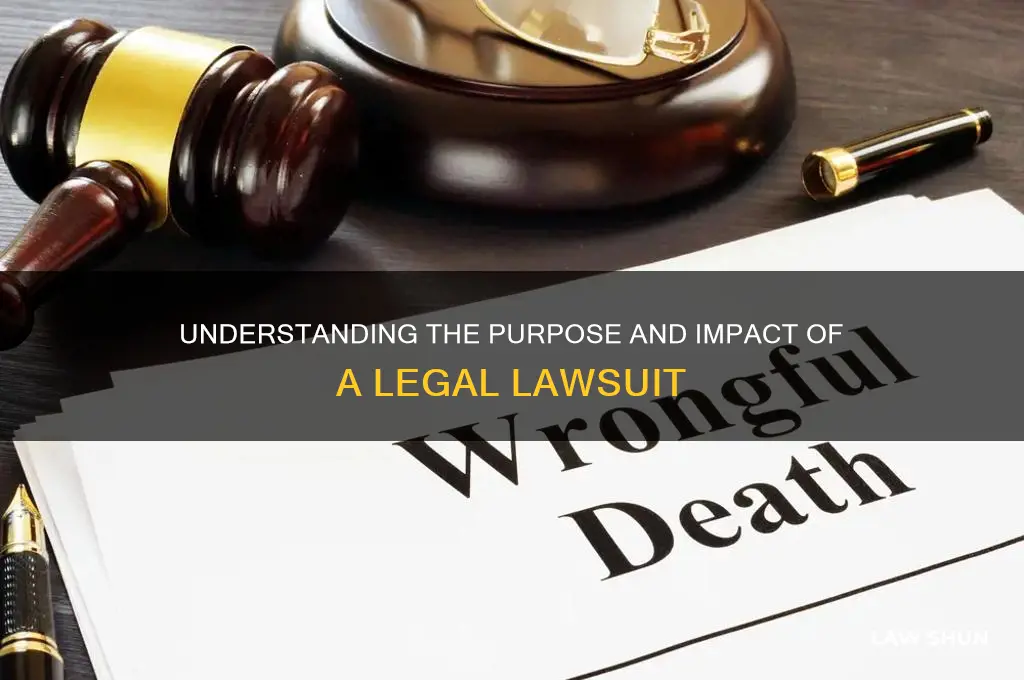 what is the point of a law suite