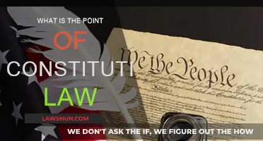 Constitutional Law: Foundation of Our Freedoms