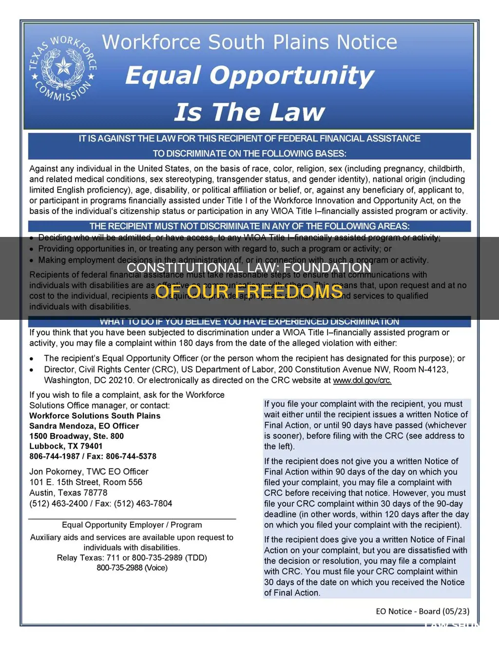 what is the point of constitutional law