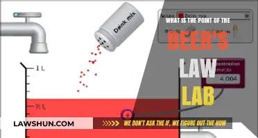 Understanding Beer's Law Lab: Purpose, Applications, and Key Insights