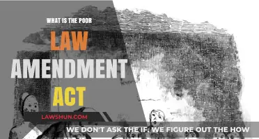 Understanding the Poor Law Amendment Act: History, Impact, and Reforms