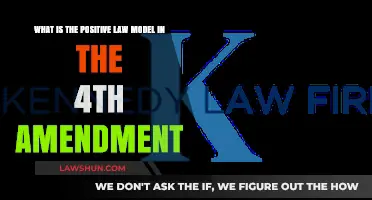 Understanding the Positive Law Model in Fourth Amendment Jurisprudence