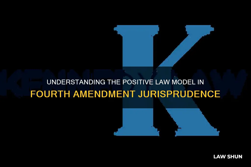 what is the positive law model in the 4th amendment