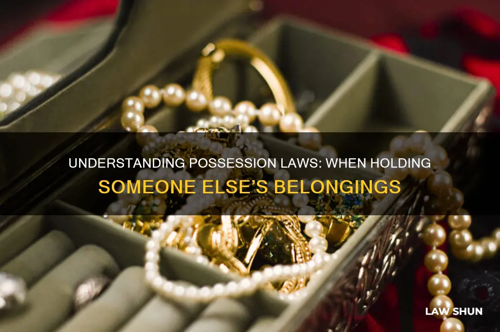 what is the possession law for someone else