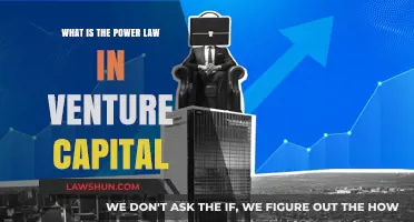 Understanding the Power Law: How Venture Capital Maximizes Returns