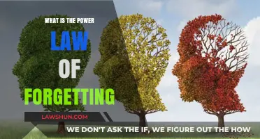 Understanding the Power Law of Forgetting: How Memory Fades Over Time