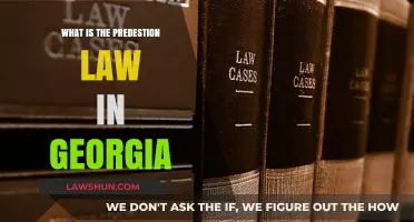 Understanding Georgia's Predestination Law: Key Insights and Implications