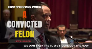 Understanding Current Felon Rights and Legal Restrictions Post-Conviction