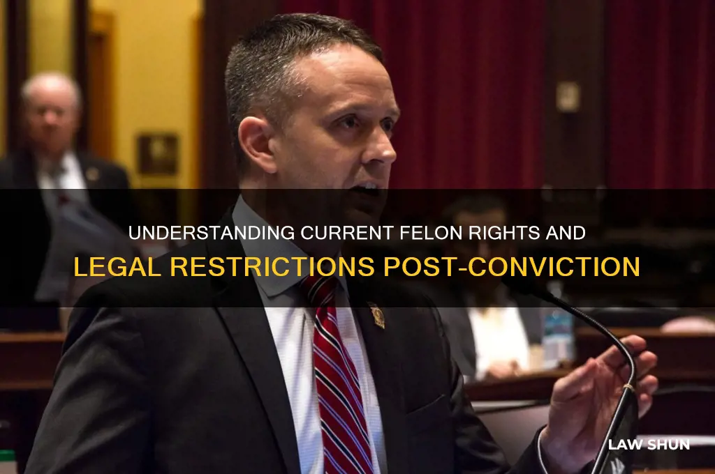 what is the present law regarding a convicted felon