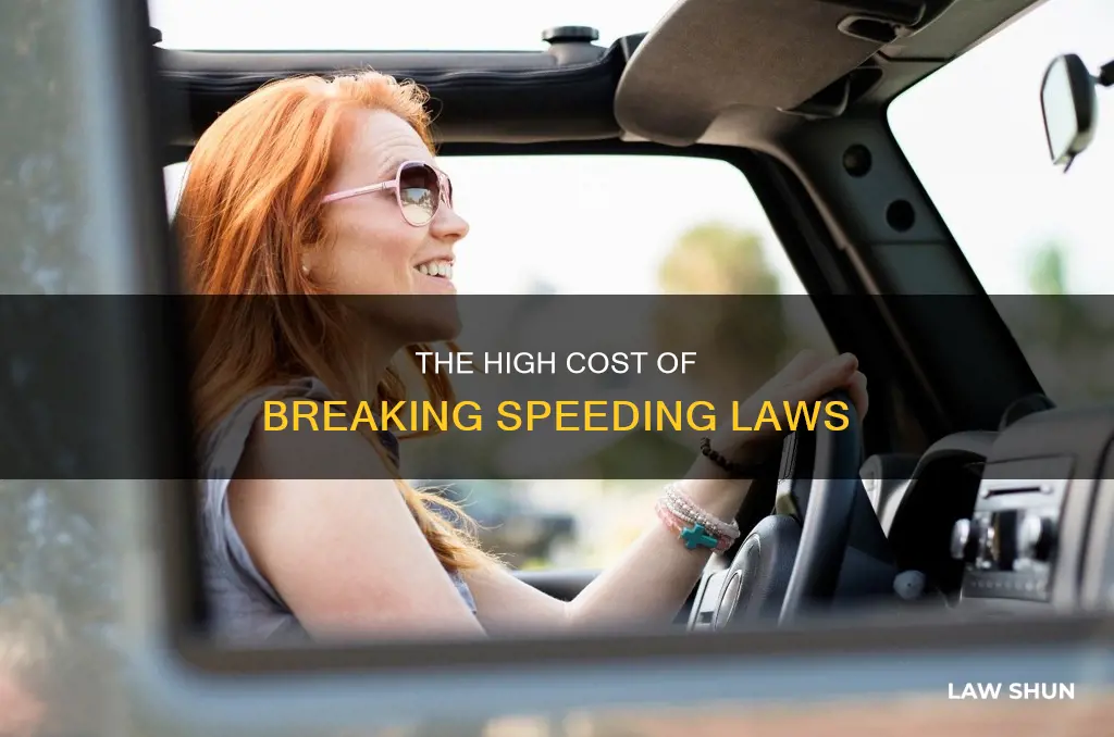 what is the price you pay for breaking speeding laws