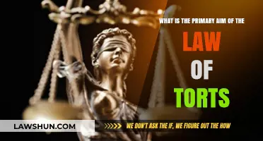 Understanding the Core Purpose of Tort Law: Justice and Compensation