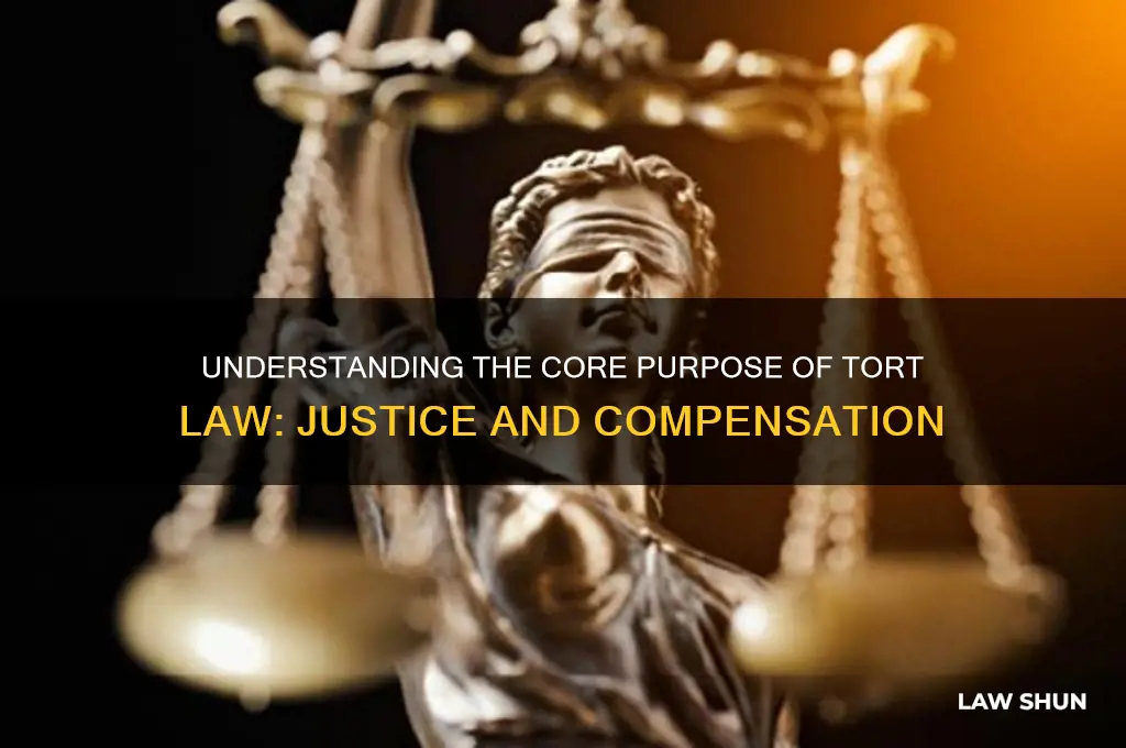 what is the primary aim of the law of torts