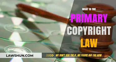 Understanding the Primary Copyright Law: Essential Rights and Protections