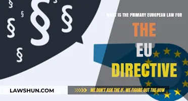 Understanding the Primary European Law Behind EU Directives