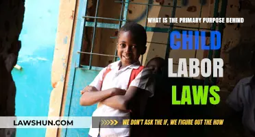 Protecting Childhood: The Core Purpose of Child Labor Laws Explained