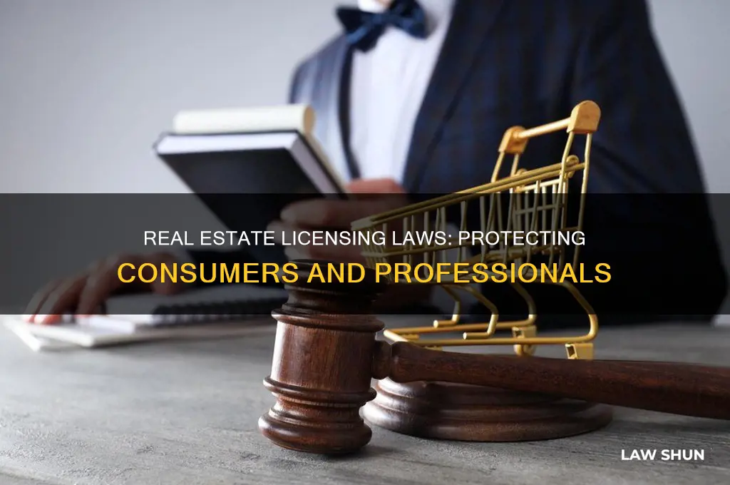 what is the primary purpose of real estate licensing laws