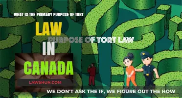 Tort Law in Canada: Purpose and Function