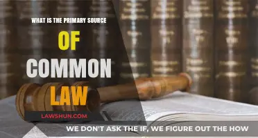 The Evolution of Common Law: Primary Sources