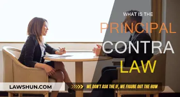 Understanding Principal-Agent Contracts: Law and Theory