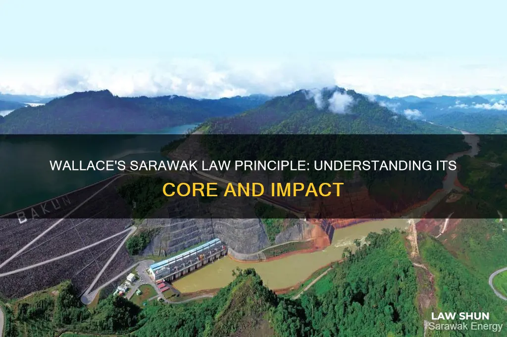 what is the principle of sarawak law proposed by wallace