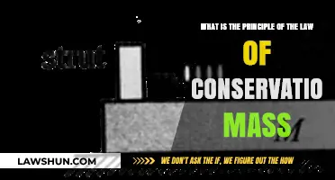 Understanding the Law of Conservation of Mass: A Fundamental Principle