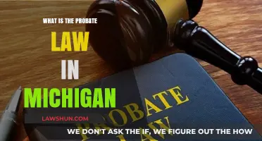 Understanding Michigan Probate Law: A Comprehensive Guide for Residents