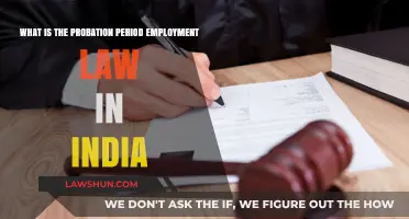 Understanding India's Probation Period Employment Law