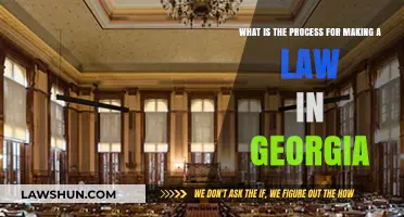 Understanding Georgia's Legislative Process: How a Bill Becomes Law