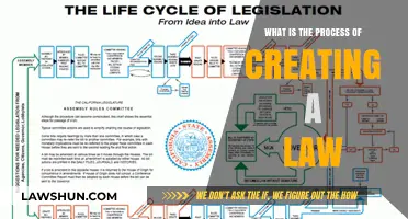 The Legislative Journey: How Laws are Made
