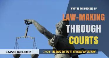 Understanding Judicial Law-Making: The Court's Role in Shaping Legislation