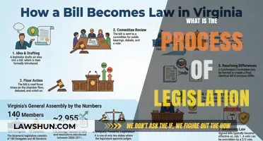 Understanding the Legislative Process: A Step-by-Step Guide