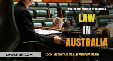 Understanding Australia's Law-Making Process: A Step-by-Step Guide