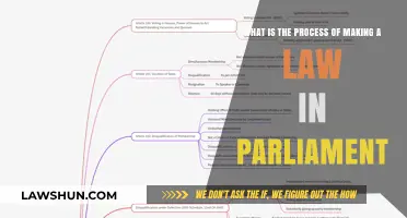 Understanding the Parliamentary Law-Making Process: A Step-by-Step Guide