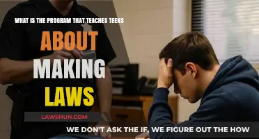 Empowering Youth: Exploring the Program Teaching Teens Lawmaking Basics