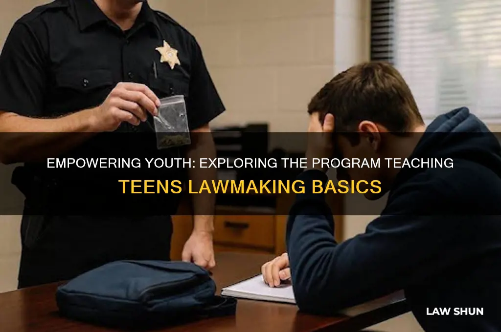 what is the program that teaches teens about making laws