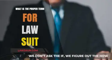 Understanding Legal Jargon: The Correct Term for a Law Suit Explained