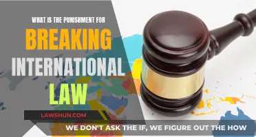 Punishments for Violating International Law: Understanding the Consequences