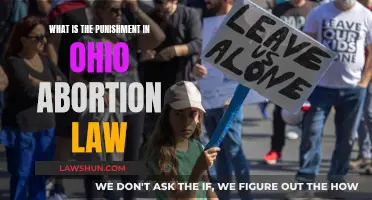 Ohio Abortion Law: Understanding the Punishment and Implications