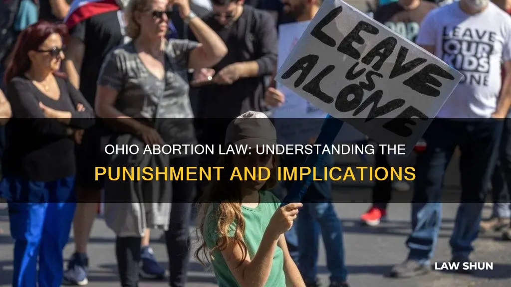 what is the punishment in ohio abortion law