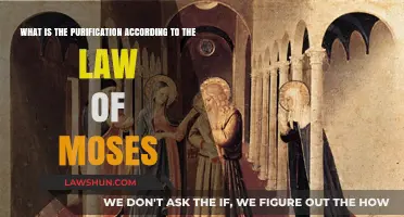 Understanding Purification Rituals in the Law of Moses: A Comprehensive Guide