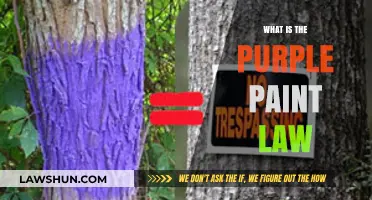 Unveiling the Mysteries of the Purple Paint Law: A Comprehensive Guide