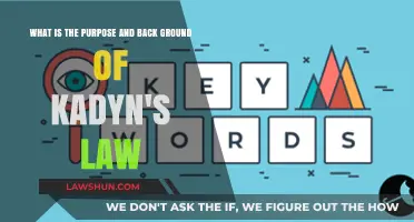 Kadyn's Law: Understanding Its Purpose and Background for Safer Schools