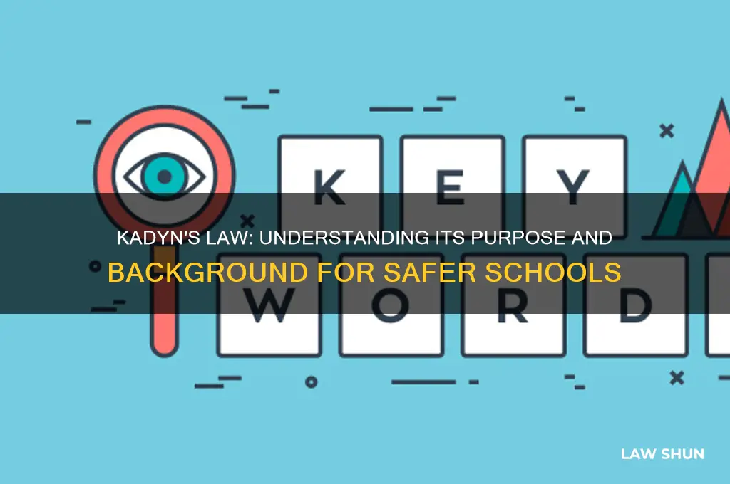 what is the purpose and back ground of kadyn