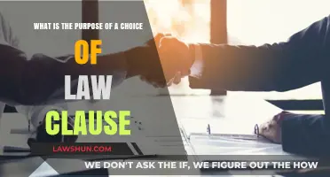 Understanding Choice of Law Clauses: Purpose and Legal Implications