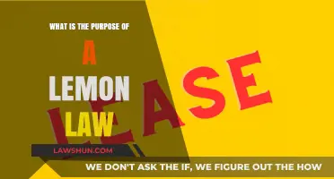 Understanding Lemon Laws: Protecting Consumers from Defective Vehicle Purchases