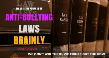 Understanding the Purpose of Anti-Bullying Laws: A Brainly Guide