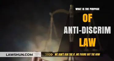 Understanding Anti-Discrimination Laws: Purpose, Impact, and Importance