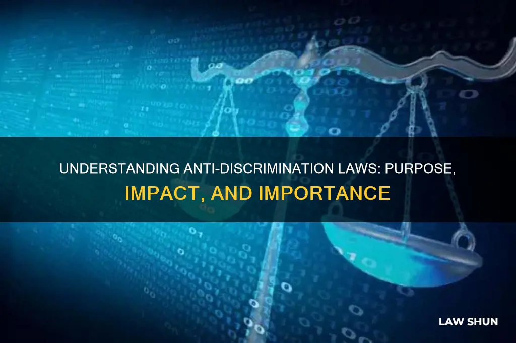 what is the purpose of anti-discrimination law